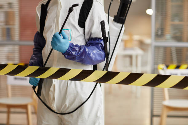 Professional Sewage Cleanup technician working in Milliken, CO